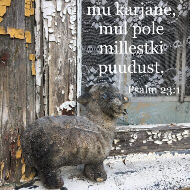 Ära karda, sind kantakse!